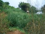 CIMG0263
