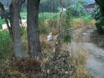 CIMG0264
