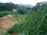 CIMG0269