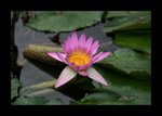 IMG_1024a