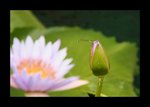 IMG_1032a