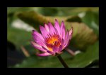 IMG_1041a
