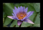 IMG_1047a