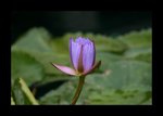 IMG_1055a