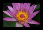 IMG_1058a