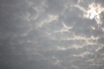 IMG_0237