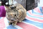 IMG_1590