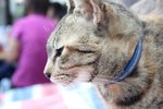 IMG_1591
