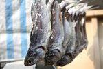 IMG_1600