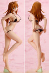 HOB-FIG-4448B