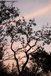 SUN_8850