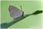 DSC_0005-blog