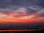 IMG_3495