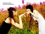 DSC00647_copy