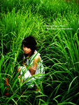 DSC00669_copy
