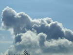 DSCF0271s
