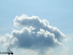 DSCF0278s