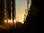DSCF0289