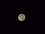 DSCF0664