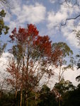 P1050496