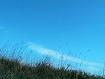 P1050534