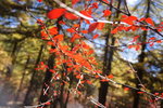 20141016_DSC02561