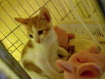 希希_20090606_2