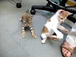 希希歡歡_20090611_2