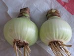 照片 003