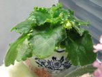 照片 005