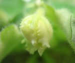 照片 006