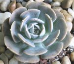 照片 012
