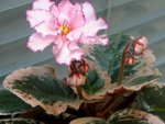 照片 024