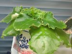 照片 025