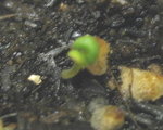 照片 094