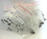 紫貓薄荷_20070408