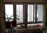 花槽窗_20090308