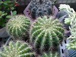 金盛丸_20100403