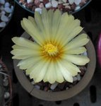花園兜_20140704_1