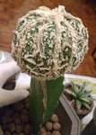 Unknown2_20091017