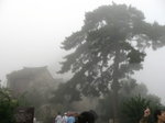IMG_0207