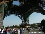 Recovered_JPEG Digital Camera_5014
