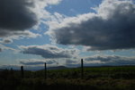 DSC_1384