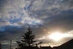 DSC_1559