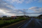 DSC_1566