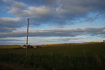 DSC_1584