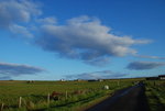 DSC_1617