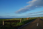 DSC_1654