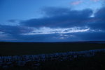 DSC_1766