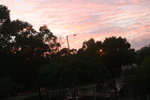IMG_1355